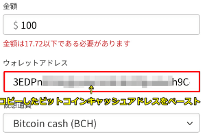 ミスティーノで出金するために必要な情報を入力する画面