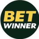 BetWinnerを徹底解説！【2024最新】登録・ボーナス・入金・出金・評判まとめ