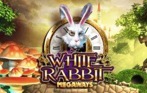 white-rabbit-slot