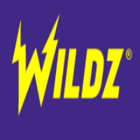 【閉鎖】ワイルズカジノを徹底解剖！ボーナス・入金・出金・評判・登録方法を解説！