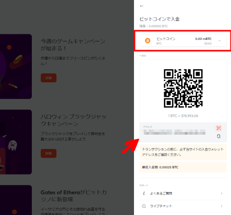 ビットカジノ初回入金ボーナス申請2
