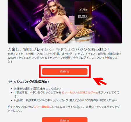 ビットカジノ初回入金ボーナス申請5
