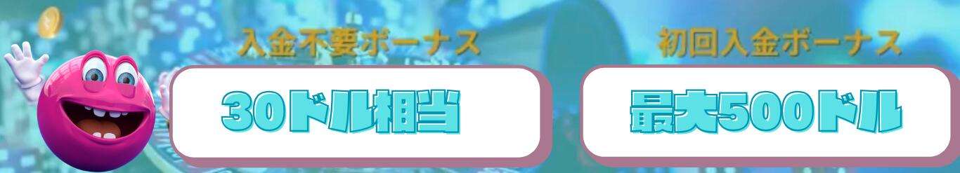 ボーナス情報