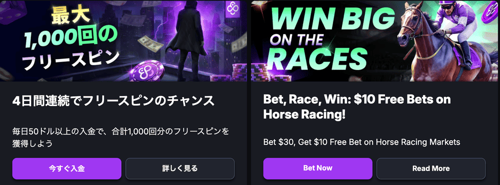 既存むけプロモーション例